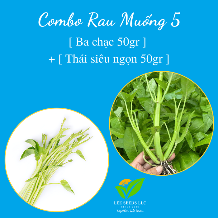 COMBO 5 : [ Thái siêu ngọn 50gr ] + [ Ba chạc 50gr ]
