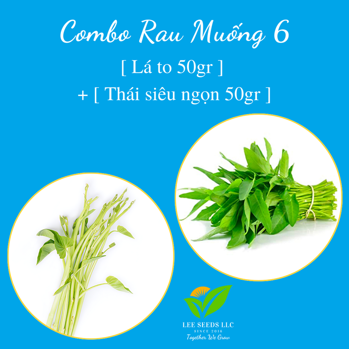 COMBO 6 : [ Thái siêu ngọn 50gr ] + [ Lá to 50gr ]
