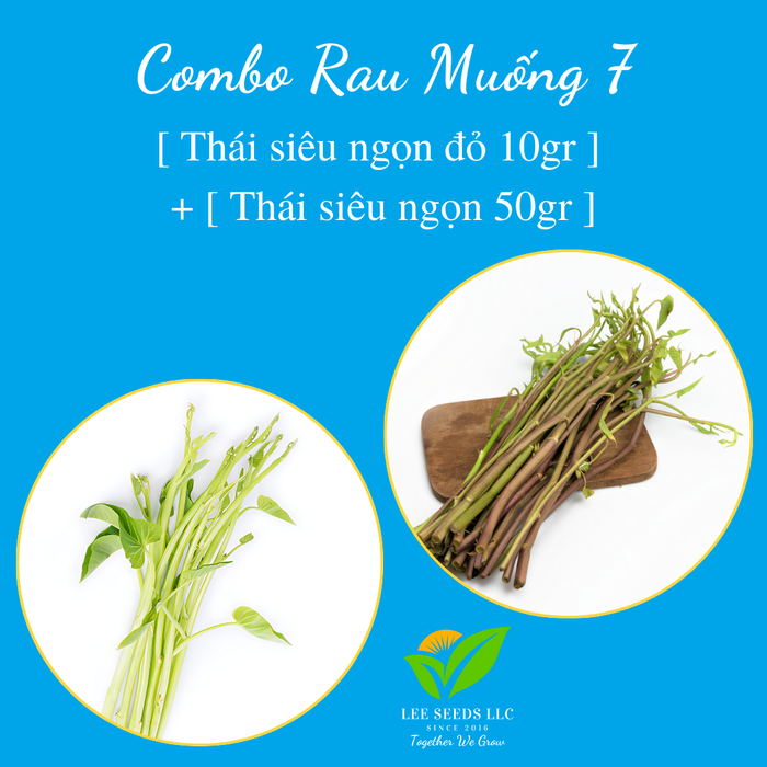 COMBO 7 : [ Thái siêu ngọn 50gr ] + [ Thái siêu ngọn đỏ 10gr ]