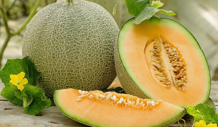 Dưa Lưới Ruột Vàng [ JUIJIA - Thái Lan ]