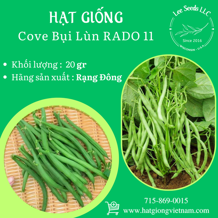 Cove Bụi Lùn RADO 11