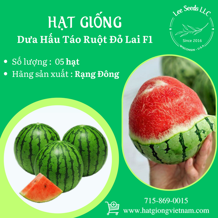 Dưa Hấu Táo Ruột Đỏ Lai F1