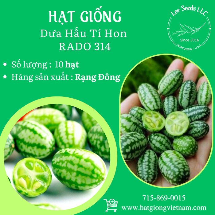 Dưa Hấu Tí Hon RADO 314