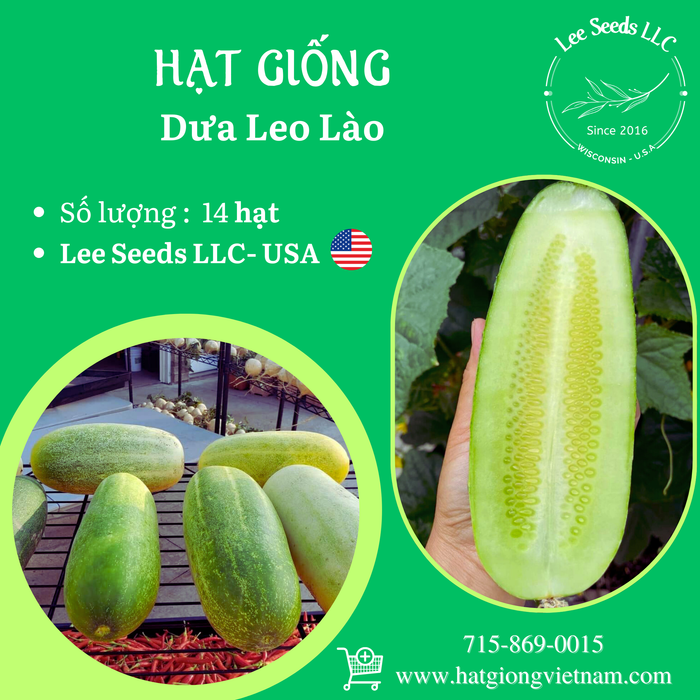 Dưa Leo Lào