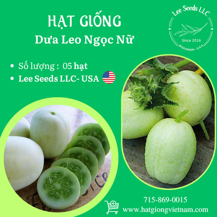 Dưa Leo Ngọc Nữ