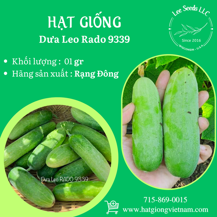 Dưa Leo RD 9339