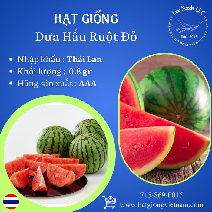 Hạt Giống Dưa Hấu Ruột Đỏ [ AAA - Thái Lan ]