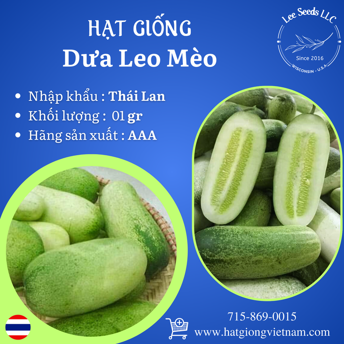 Hạt Giống Dưa Leo Mèo [ AAA - Thái Lan ]