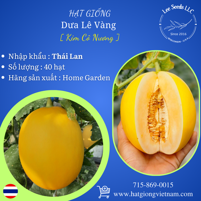 Hạt Giống Dưa Lê Vàng - Kim Cô Nương [ Home Garden - Thái Lan ]