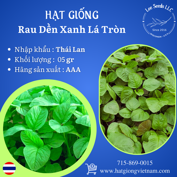 Hạt Giống Rau Dền Xanh Lá Tròn [ AAA - Thái Lan ]