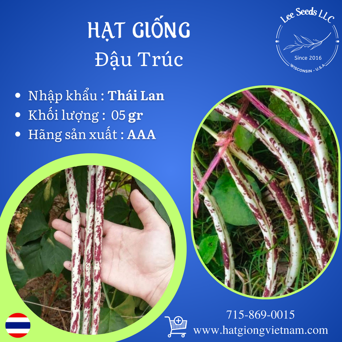 Hạt Giống Đậu Trúc [ AAA - Thái Lan ]