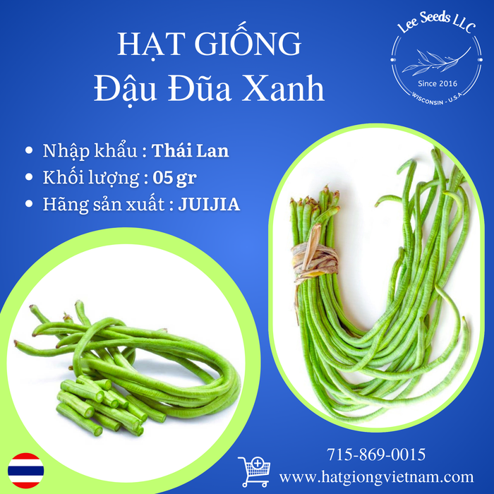 Hạt Giống Đậu Đũa Xanh - Mix Chiang Bean [ JUIJIA - Thái Lan ]