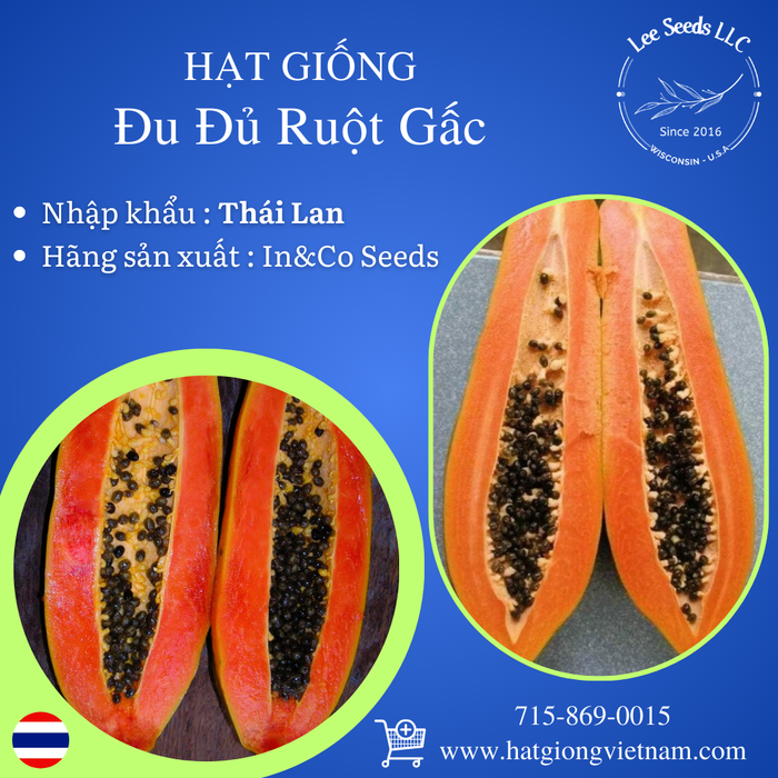 Đu Đủ Ruột Gấc Trái Dài F1  [ Nova - E-W Seeds - Thái Lan ]