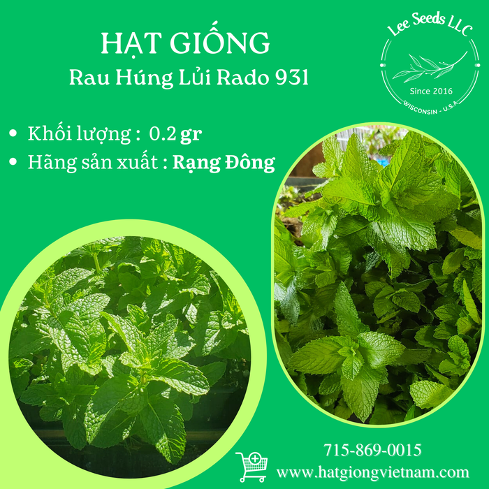 Rau Húng Lủi RADO 931