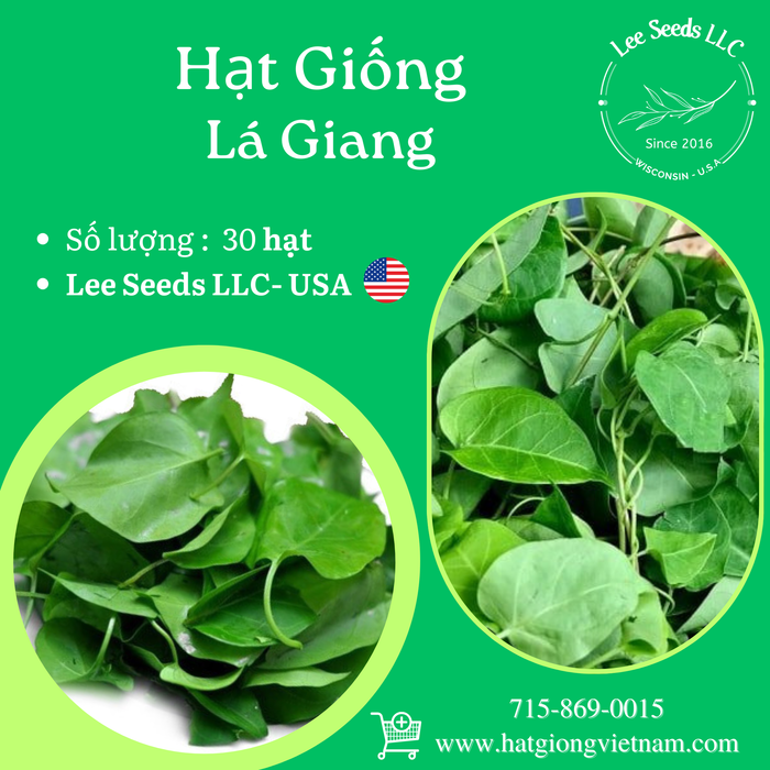 Lá Giang - Gói từ vườn ươm ( 30 hạt )