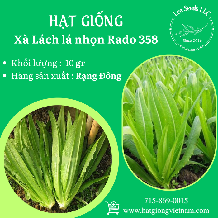 Xà Lách Lá Nhọn ( RAU TIẾN VUA ) RADO 358