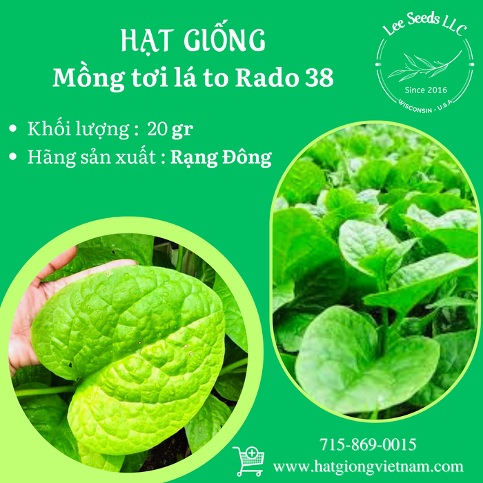 Mồng Tơi Lá To RADO 38