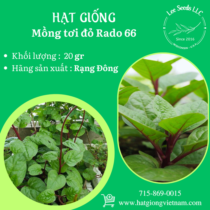 Mồng Tơi Đỏ RADO 66