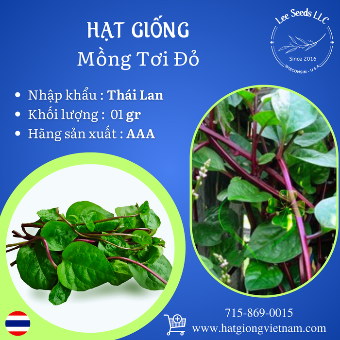 Hạt Giống Mồng Tơi Đỏ [ AAA - Thái Lan ]