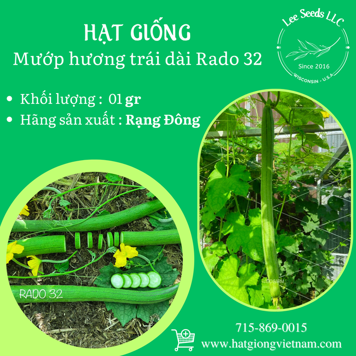 Mướp hương trái dài RADO 32