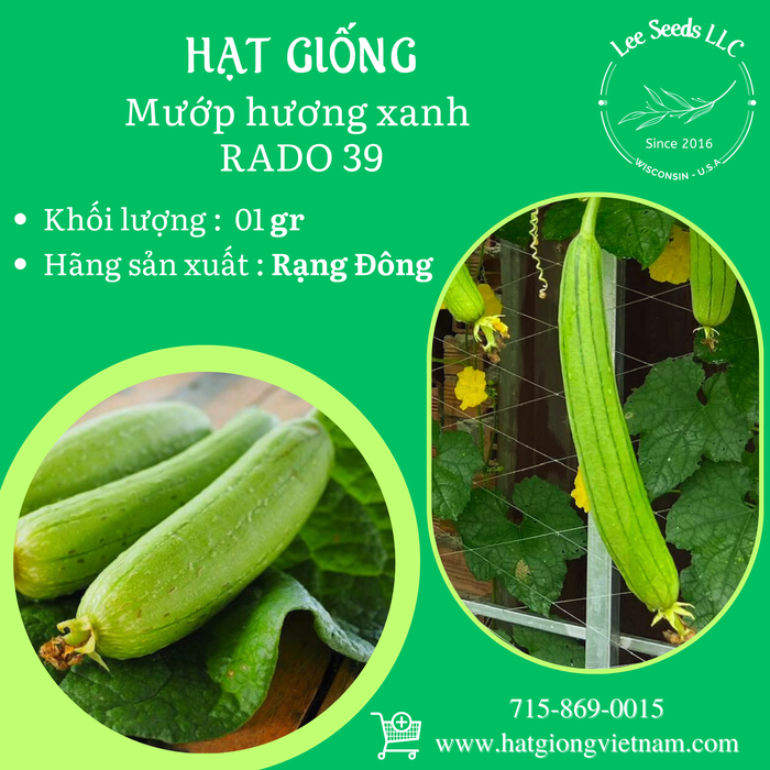 Mướp hương xanh RADO 39