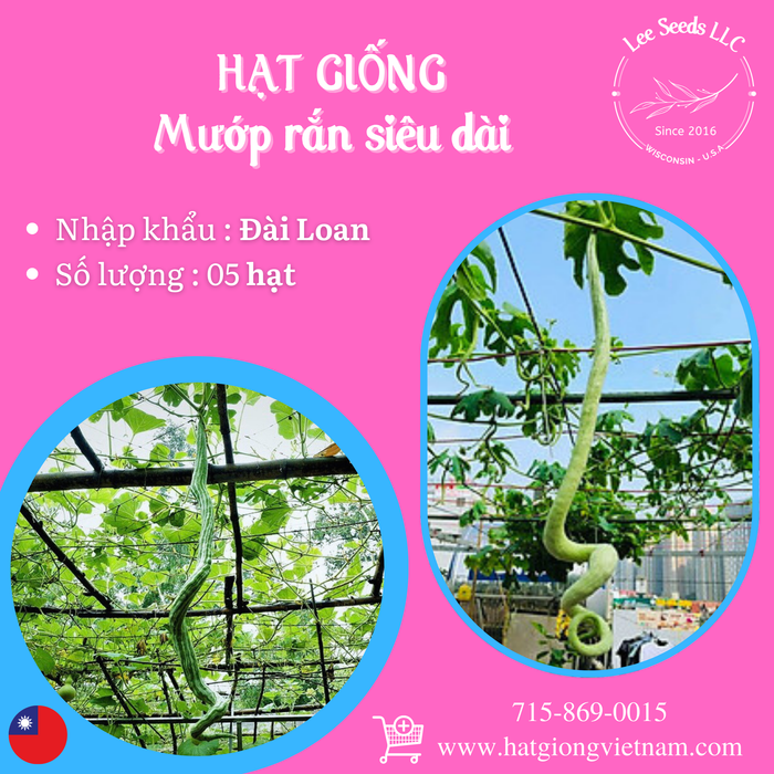 Mướp Rắn siêu dài Taiwan GÓI 5 HẠT