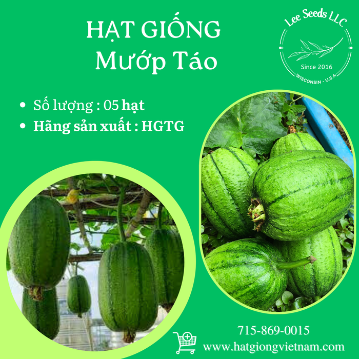 Mướp Táo