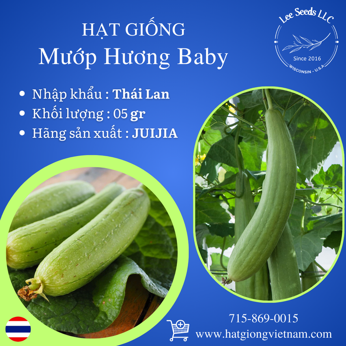 Mướp Hương Baby [ JUIJIA - Thái Lan ]