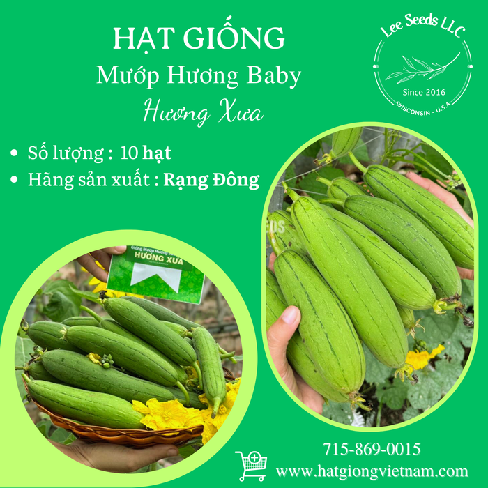 Mướp Hương Baby [ Hương Xưa ]