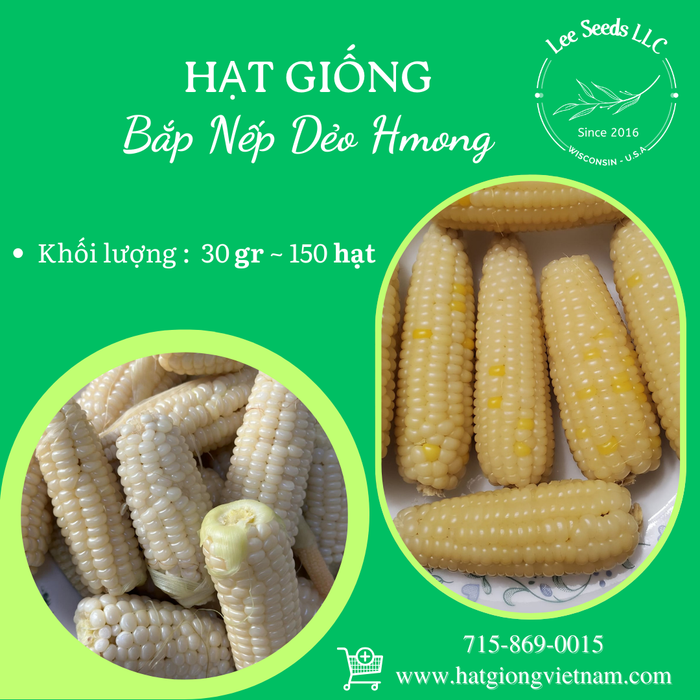 Bắp Nếp Dẻo H'Mông 30GR - 150 HẠT