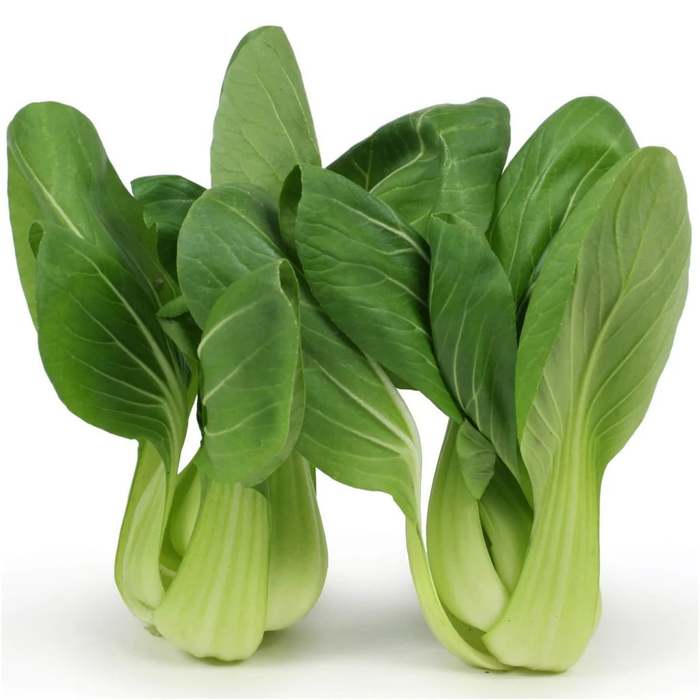 Cải Thìa Bẹ To [ E-W Seeds - Thái Lan ]