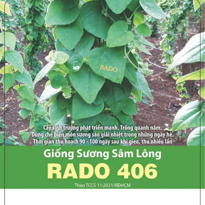 Sương Sâm Lông RADO 406