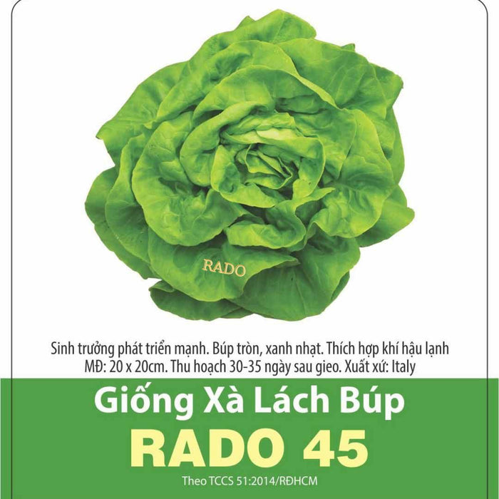 Xà Lách Búp RADO 45