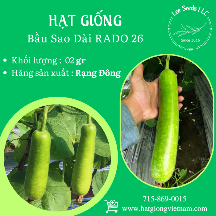 Bầu sao dài RADO 26