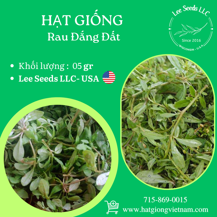 Rau Đắng Đất