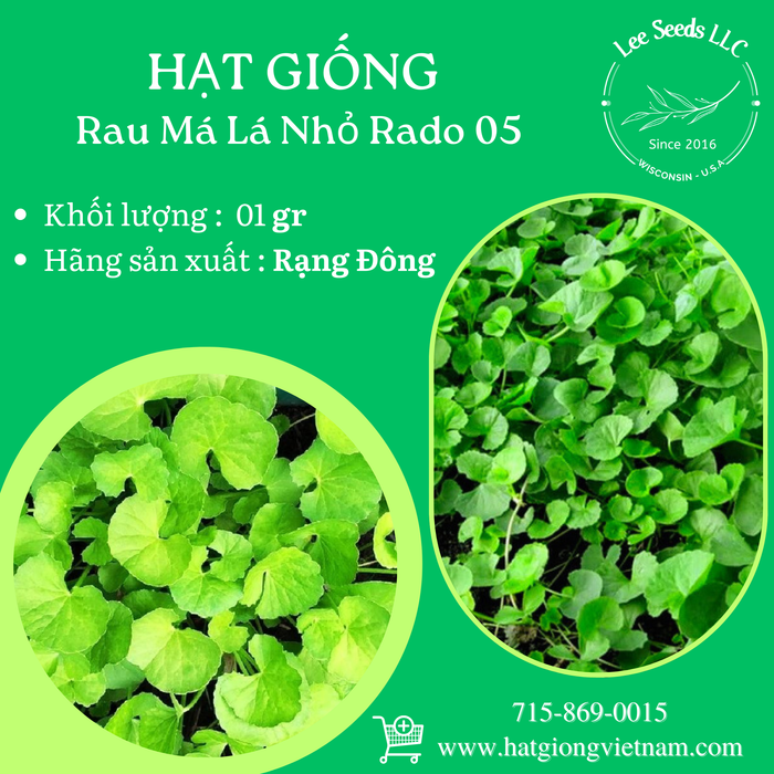 Rau Má Lá Nhỏ RADO 05