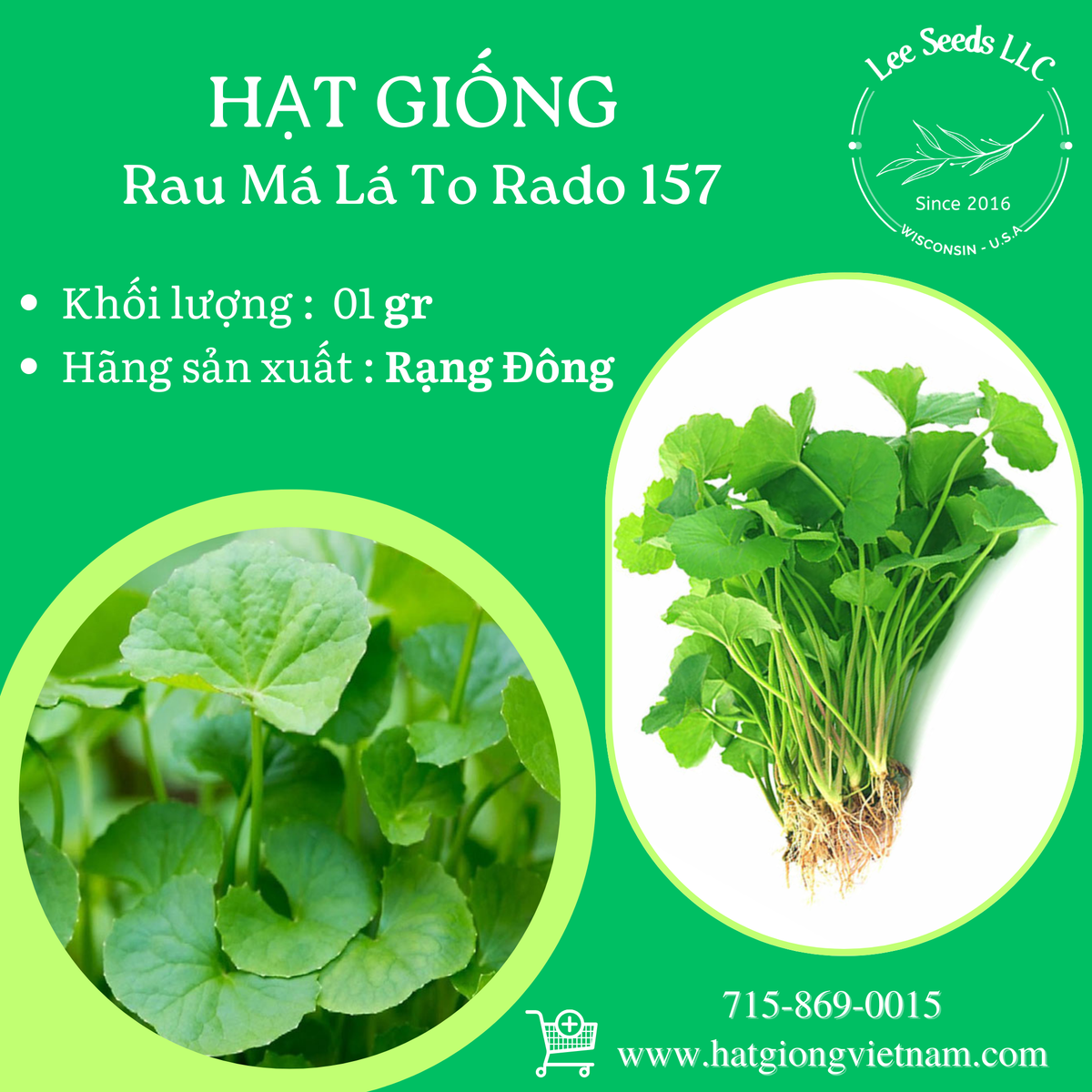 Hạt Giống Rau Má Lá To tại Mỹ — Hạt giống rau củ Việt Nam tại Mỹ - Lee ...
