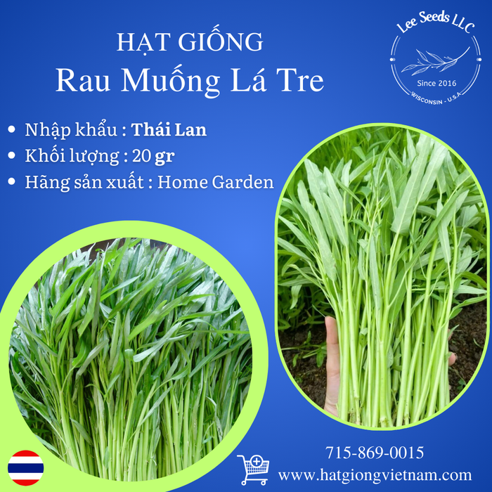 Hạt Giống Rau Muống Lá Tre [ Home Garden - Thái Lan ]