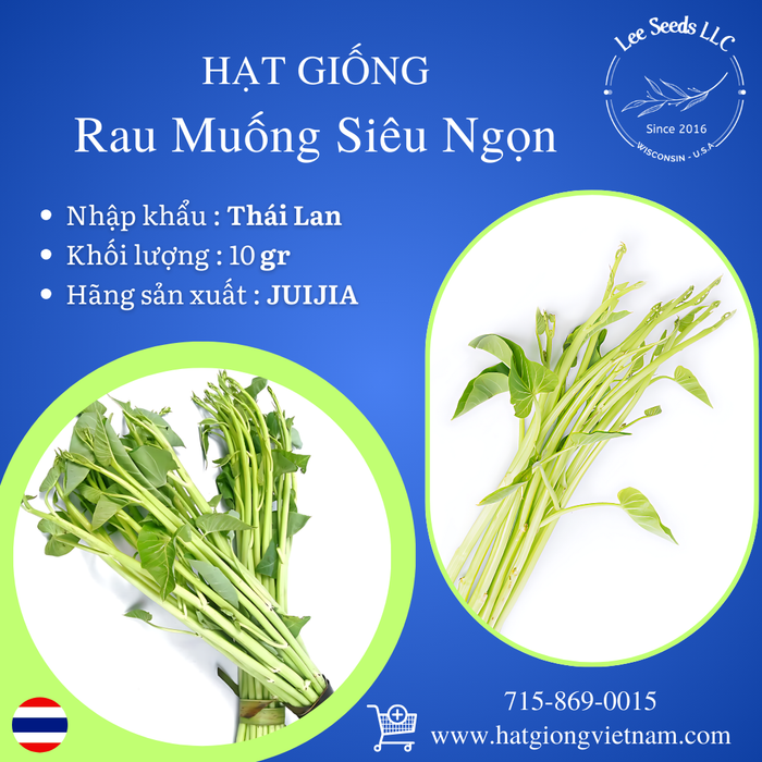 Rau Muống Siêu Ngọn [ JUIJIA - Thái Lan ]