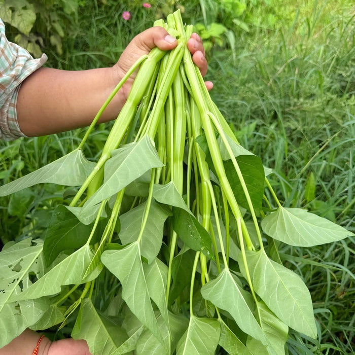 Rau Muống Lá To [ Lee Garden ] - 100gr