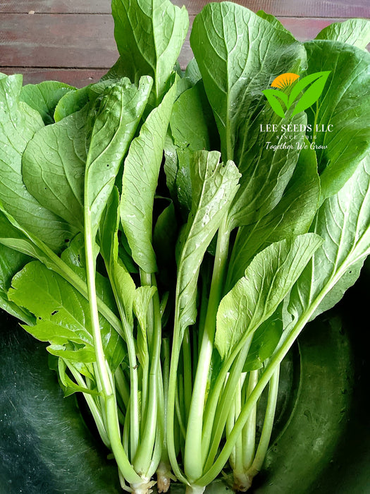 Hạt Giống Cải Ngọt - Suphan 12 [ JUIJIA - Thái Lan ]