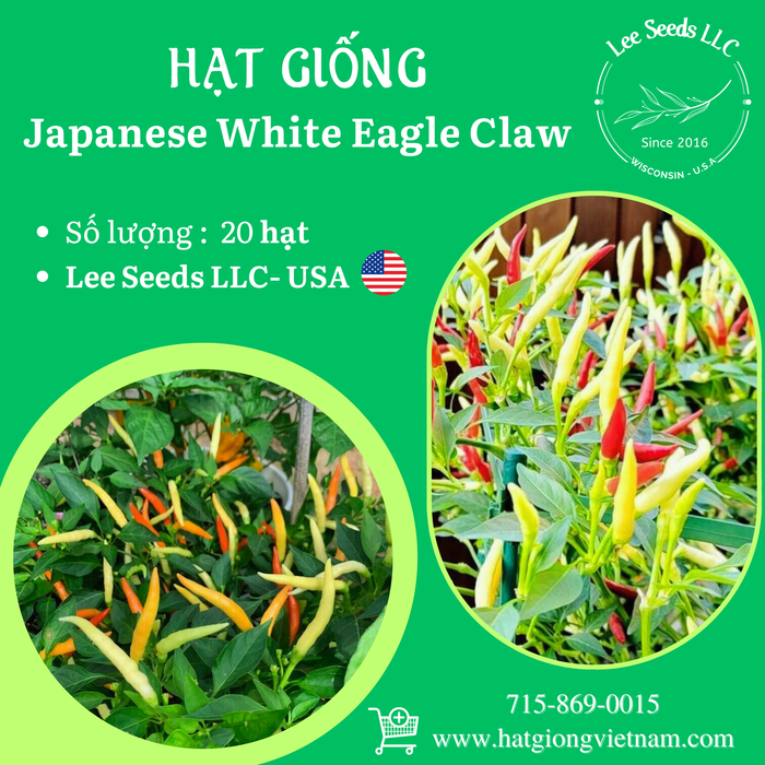 Japanese White Eagle Claw Chilli