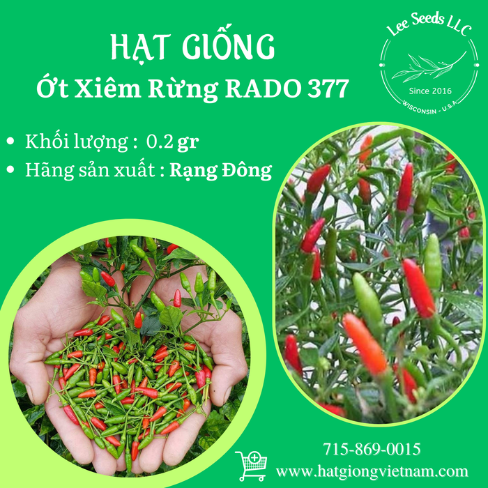 Ớt Xiêm Rừng RADO 377