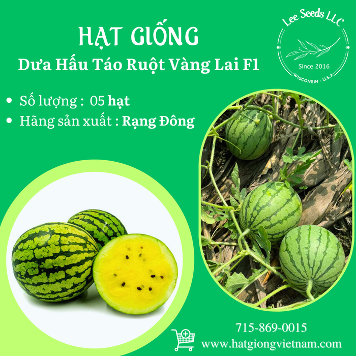 Dưa Hấu Táo Ruột Vàng Lai F1