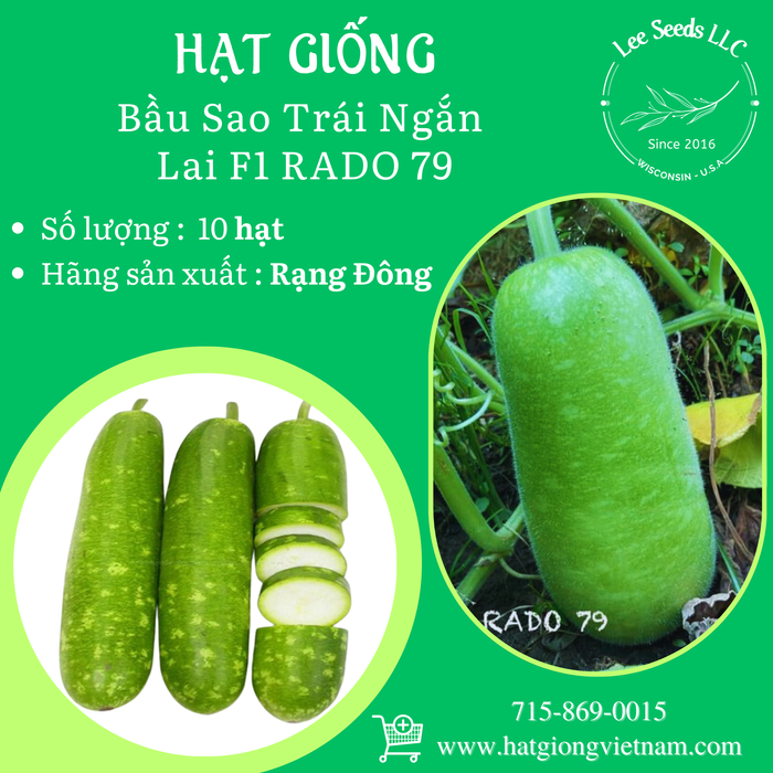 Bầu Sao Trái Ngắn Lai F1 RADO 79