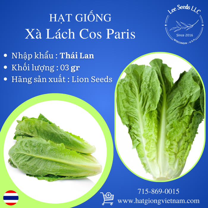 Xà Lách Cos Paris [ Lion Seeds - Thái Lan ]