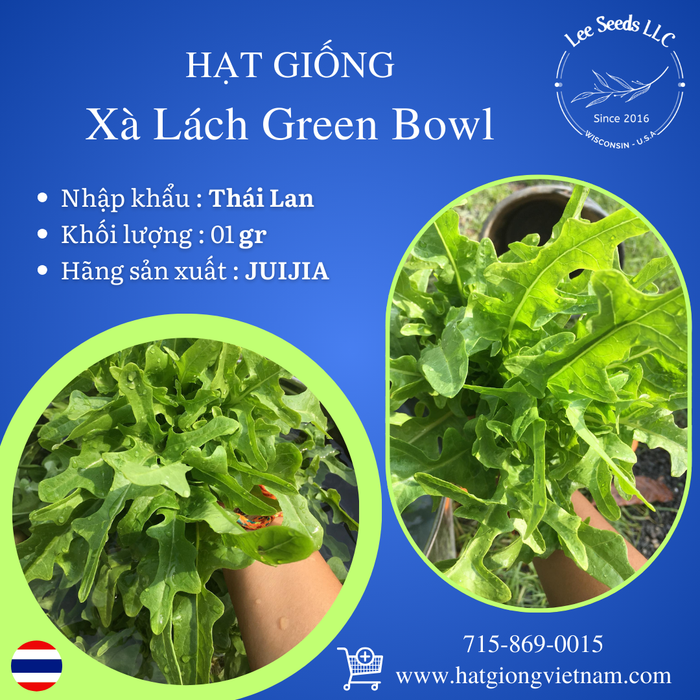 Xà Lách Green Bowl [ JUIJIA - Thái Lan ]