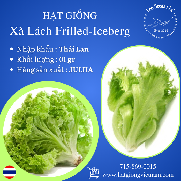 Xà Lách Frilled Iceberg [ JUIJIA - Thái Lan ]