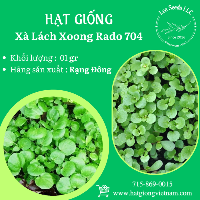 Xà Lách Xoong Mỹ RADO 704